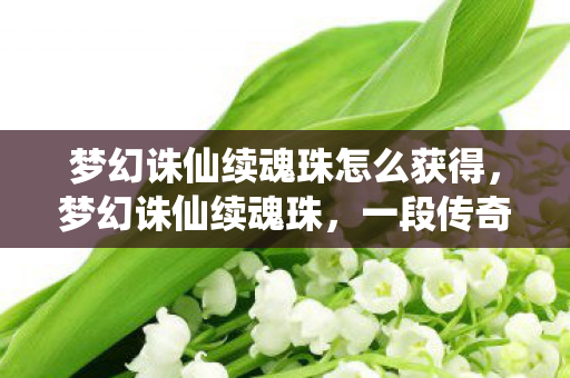 梦幻诛仙续魂珠怎么获得,梦幻诛仙续魂珠,一段传奇的续写 梦幻诛仙续魂珠怎么获得,梦幻诛仙续魂珠,一段传奇的续写