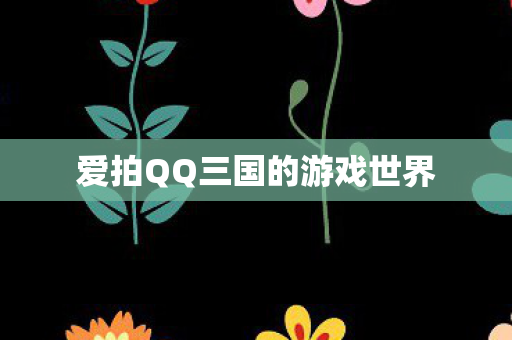 爱拍QQ三国的游戏世界 爱拍QQ三国的游戏世界