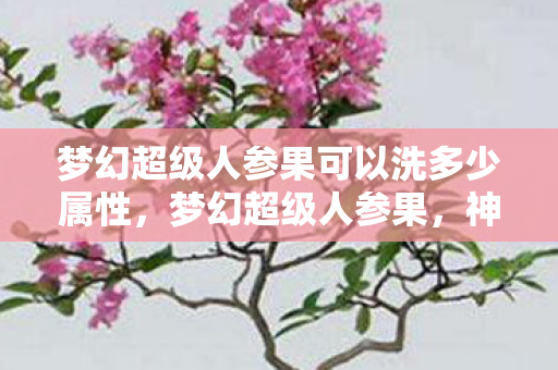 梦幻超级人参果可以洗多少属性，梦幻超级人参果，神秘力量助你开启人生新篇章
