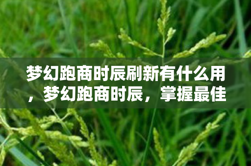 梦幻跑商时辰刷新有什么用,梦幻跑商时辰,掌握最佳商贸时机,轻松致富之道 梦幻跑商时辰刷新有什么用,梦幻跑商时辰,掌握最佳商贸时机,轻松致富之道