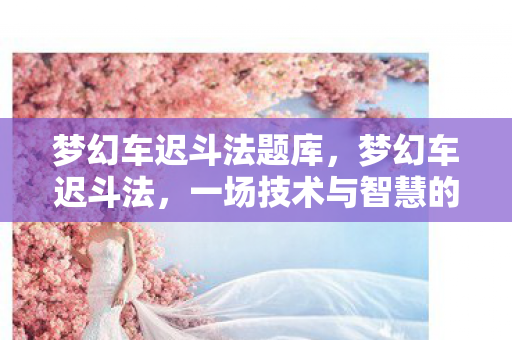 梦幻车迟斗法题库,梦幻车迟斗法,一场技术与智慧的较量 梦幻车迟斗法题库,梦幻车迟斗法,一场技术与智慧的较量