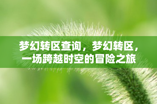梦幻转区查询,梦幻转区,一场跨越时空的冒险之旅 梦幻转区查询,梦幻转区,一场跨越时空的冒险之旅