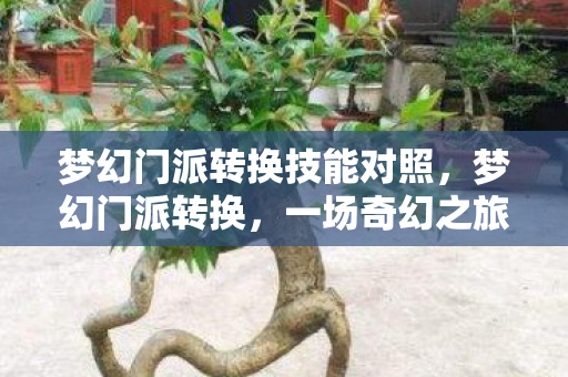 梦幻门派转换技能对照,梦幻门派转换,一场奇幻之旅的蜕变 梦幻门派转换技能对照,梦幻门派转换,一场奇幻之旅的蜕变