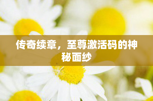 传奇续章,至尊激活码的神秘面纱 传奇续章,至尊激活码的神秘面纱
