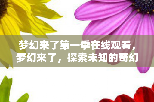 梦幻来了第一季在线观看,梦幻来了,探索未知的奇幻世界 梦幻来了第一季在线观看,梦幻来了,探索未知的奇幻世界