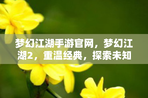 梦幻江湖手游官网,梦幻江湖2,重温经典,探索未知的新世界 梦幻江湖手游官网,梦幻江湖2,重温经典,探索未知的新世界