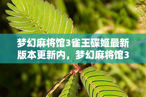 梦幻麻将馆3雀王碟姬最新版本更新内,梦幻麻将馆3,雀王碟姬的传奇之旅 梦幻麻将馆3雀王碟姬最新版本更新内,梦幻麻将馆3,雀王碟姬的传奇之旅