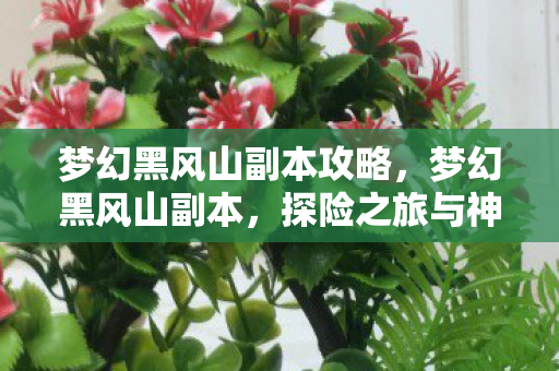 梦幻黑风山副本攻略,梦幻黑风山副本,探险之旅与神秘宝藏的完美结合 梦幻黑风山副本攻略,梦幻黑风山副本,探险之旅与神秘宝藏的完美结合