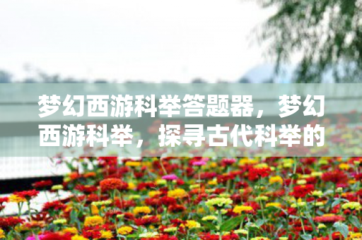梦幻西游科举答题器，梦幻西游科举，探寻古代科举的奇幻之旅