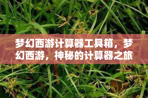 梦幻西游计算器工具箱,梦幻西游,神秘的计算器之旅 梦幻西游计算器工具箱,梦幻西游,神秘的计算器之旅