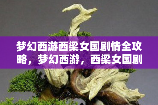 梦幻西游西梁女国剧情全攻略，梦幻西游，西梁女国剧情深度解析