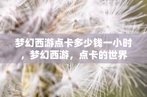 梦幻西游点卡多少钱一小时，梦幻西游，点卡的世界