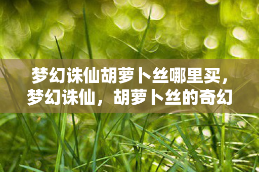 梦幻诛仙胡萝卜丝哪里买，梦幻诛仙，胡萝卜丝的奇幻之旅