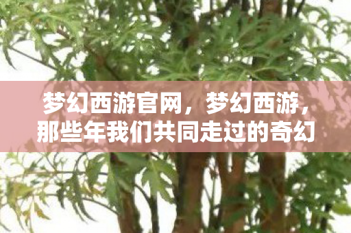 梦幻西游官网，梦幻西游，那些年我们共同走过的奇幻世界