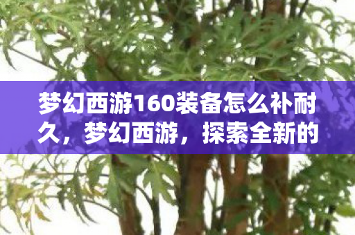 梦幻西游160装备怎么补耐久，梦幻西游，探索全新的160装备系统