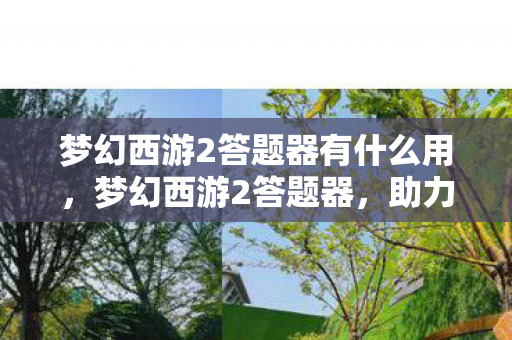 梦幻西游2答题器有什么用,梦幻西游2答题器,助力你的游戏冒险之旅 梦幻西游2答题器有什么用,梦幻西游2答题器,助力你的游戏冒险之旅