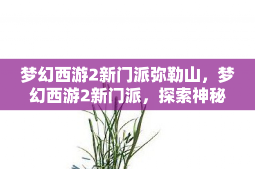 梦幻西游2新门派弥勒山,梦幻西游2新门派,探索神秘的未知之旅 梦幻西游2新门派弥勒山,梦幻西游2新门派,探索神秘的未知之旅