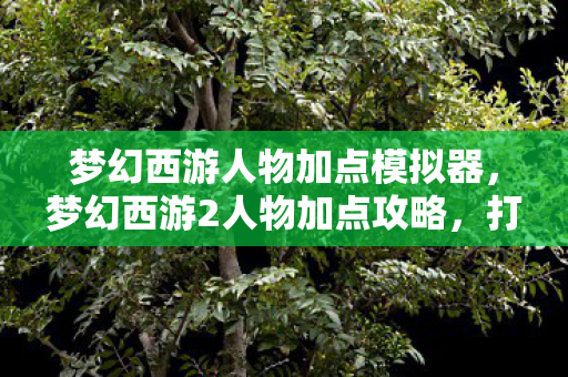 梦幻西游人物加点模拟器,梦幻西游2人物加点攻略,打造无敌角色,轻松驰骋三界! 梦幻西游人物加点模拟器,梦幻西游2人物加点攻略,打造无敌角色,轻松驰骋三界!