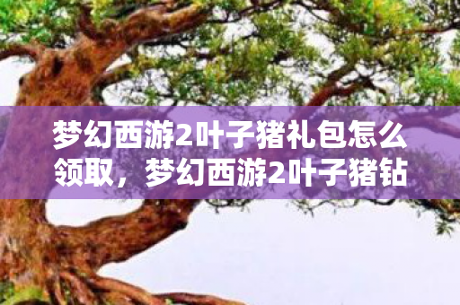 梦幻西游2叶子猪礼包怎么领取,梦幻西游2叶子猪钻石特权礼包,游戏玩家的福音 梦幻西游2叶子猪礼包怎么领取,梦幻西游2叶子猪钻石特权礼包,游戏玩家的福音