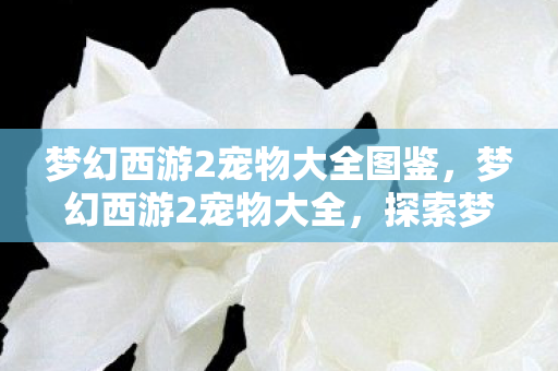 梦幻西游2宠物大全图鉴,梦幻西游2宠物大全,探索梦幻世界的神秘伙伴 梦幻西游2宠物大全图鉴,梦幻西游2宠物大全,探索梦幻世界的神秘伙伴