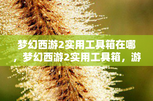 梦幻西游2实用工具箱在哪,梦幻西游2实用工具箱,游戏助手助你轻松玩转西游世界 梦幻西游2实用工具箱在哪,梦幻西游2实用工具箱,游戏助手助你轻松玩转西游世界