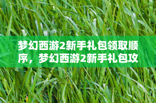 梦幻西游2新手礼包领取顺序,梦幻西游2新手礼包攻略,从零开始,轻松玩转梦幻西游! 梦幻西游2新手礼包领取顺序,梦幻西游2新手礼包攻略,从零开始,轻松玩转梦幻西游!