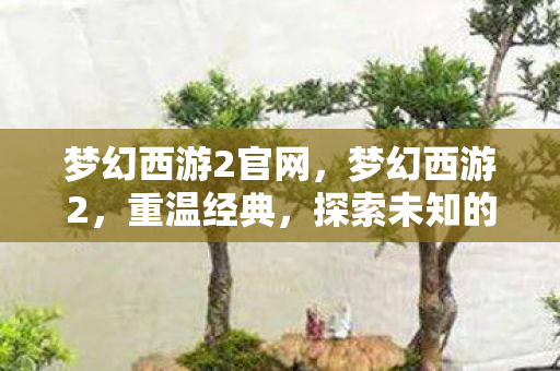 梦幻西游2官网,梦幻西游2,重温经典,探索未知的新世界 梦幻西游2官网,梦幻西游2,重温经典,探索未知的新世界