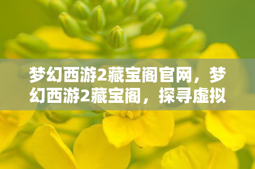 梦幻西游2藏宝阁官网,梦幻西游2藏宝阁,探寻虚拟世界的宝藏之地 梦幻西游2藏宝阁官网,梦幻西游2藏宝阁,探寻虚拟世界的宝藏之地