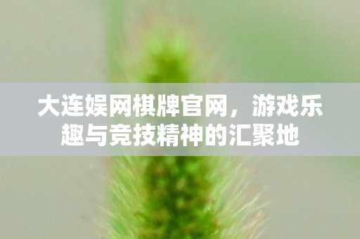 大连娱网棋牌官网，游戏乐趣与竞技精神的汇聚地