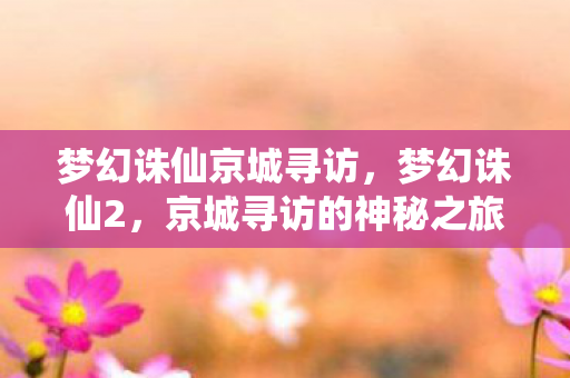 梦幻诛仙京城寻访,梦幻诛仙2,京城寻访的神秘之旅 梦幻诛仙京城寻访,梦幻诛仙2,京城寻访的神秘之旅