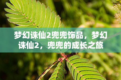 梦幻诛仙2兜兜饰品,梦幻诛仙2,兜兜的成长之旅 梦幻诛仙2兜兜饰品,梦幻诛仙2,兜兜的成长之旅