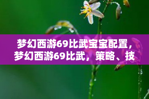 梦幻西游69比武宝宝配置,梦幻西游69比武,策略、技巧与荣耀之战 梦幻西游69比武宝宝配置,梦幻西游69比武,策略、技巧与荣耀之战