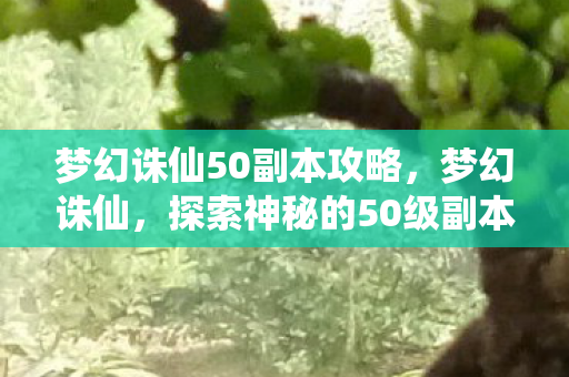 梦幻诛仙50副本攻略,梦幻诛仙,探索神秘的50级副本之旅 梦幻诛仙50副本攻略,梦幻诛仙,探索神秘的50级副本之旅