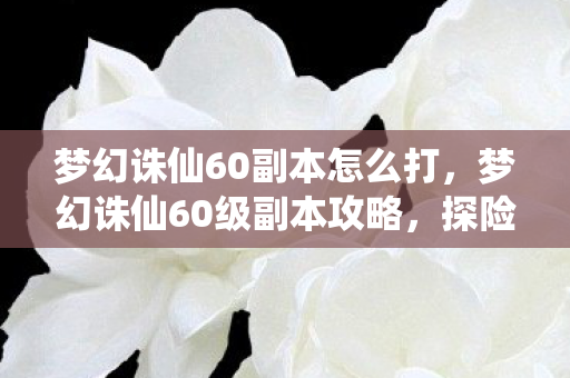 梦幻诛仙60副本怎么打，梦幻诛仙60级副本攻略，探险之旅，挑战未知！