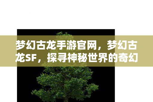 梦幻古龙手游官网，梦幻古龙SF，探寻神秘世界的奇幻之旅