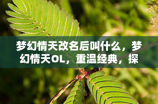 梦幻情天改名后叫什么,梦幻情天OL,重温经典,探索未知的游戏世界 梦幻情天改名后叫什么,梦幻情天OL,重温经典,探索未知的游戏世界