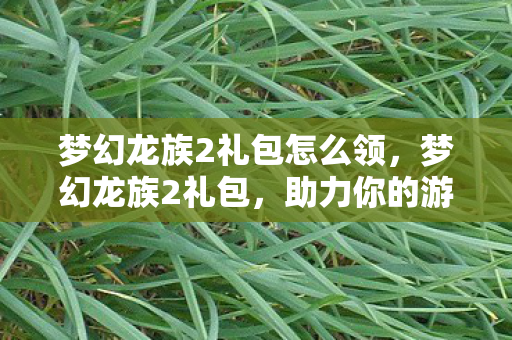 梦幻龙族2礼包怎么领,梦幻龙族2礼包,助力你的游戏冒险之旅 梦幻龙族2礼包怎么领,梦幻龙族2礼包,助力你的游戏冒险之旅