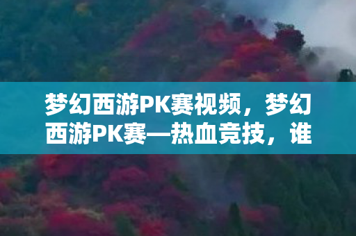 梦幻西游PK赛视频,梦幻西游PK赛—热血竞技,谁与争锋 梦幻西游PK赛视频,梦幻西游PK赛—热血竞技,谁与争锋