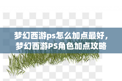 梦幻西游ps怎么加点最好，梦幻西游PS角色加点攻略，打造无敌战力组合