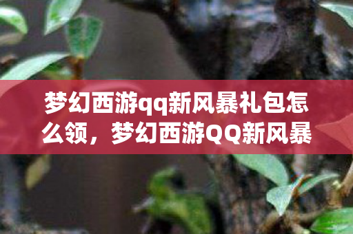 梦幻西游qq新风暴礼包怎么领,梦幻西游QQ新风暴礼包,游戏狂欢,独家福利大放送! 梦幻西游qq新风暴礼包怎么领,梦幻西游QQ新风暴礼包,游戏狂欢,独家福利大放送!