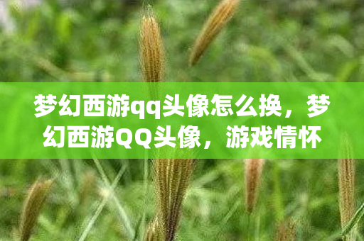 梦幻西游qq头像怎么换，梦幻西游QQ头像，游戏情怀与虚拟世界的独特印记