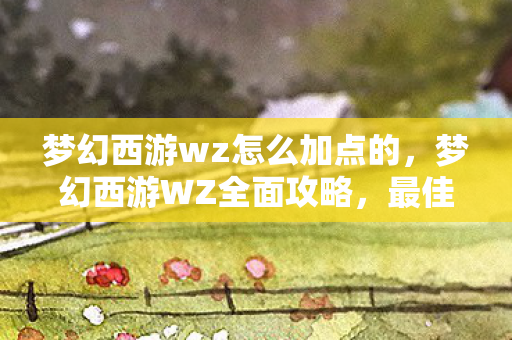 梦幻西游wz怎么加点的，梦幻西游WZ全面攻略，最佳加点方案揭秘