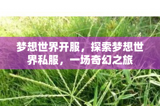 梦想世界开服,探索梦想世界私服,一场奇幻之旅 梦想世界开服,探索梦想世界私服,一场奇幻之旅