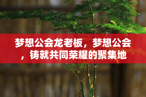 梦想公会龙老板,梦想公会,铸就共同荣耀的聚集地 梦想公会龙老板,梦想公会,铸就共同荣耀的聚集地