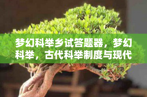 梦幻科举乡试答题器,梦幻科举,古代科举制度与现代梦想的交汇点 梦幻科举乡试答题器,梦幻科举,古代科举制度与现代梦想的交汇点