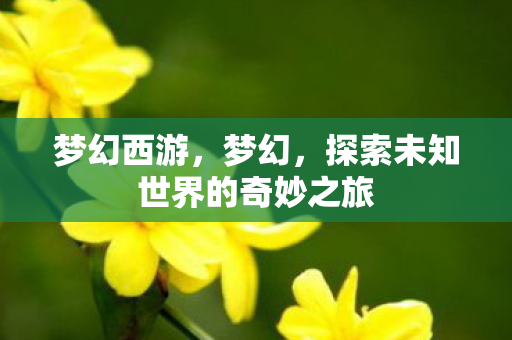 梦幻西游,梦幻,探索未知世界的奇妙之旅 梦幻西游,梦幻,探索未知世界的奇妙之旅