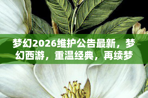 梦幻2026维护公告最新,梦幻西游,重温经典,再续梦幻之旅 梦幻2026维护公告最新,梦幻西游,重温经典,再续梦幻之旅