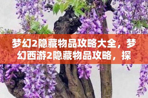 梦幻2隐藏物品攻略大全，梦幻西游2隐藏物品攻略，探索未知的宝藏，轻松获取珍稀物品！