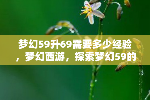 梦幻59升69需要多少经验,梦幻西游,探索梦幻59的魅力与策略 梦幻59升69需要多少经验,梦幻西游,探索梦幻59的魅力与策略