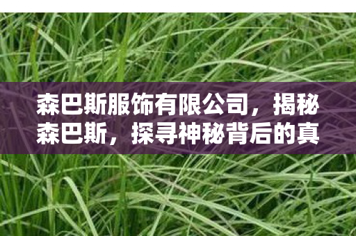森巴斯服饰有限公司,揭秘森巴斯,探寻神秘背后的真相 森巴斯服饰有限公司,揭秘森巴斯,探寻神秘背后的真相